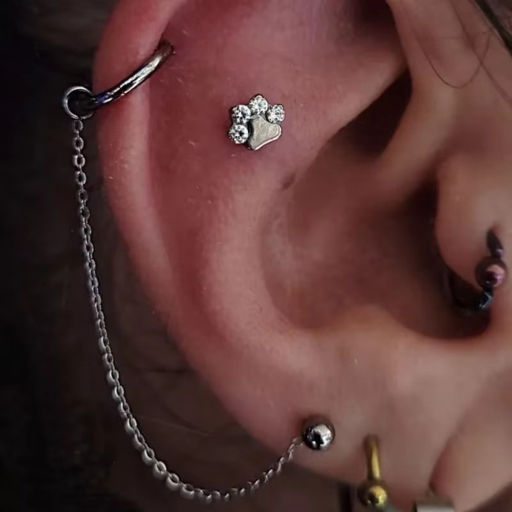 โซ่จมูกไทเทเนียม 3 ชั้น โซ่คู่ - Body Jewelry And Piercing บทวิจารณ์และราคา